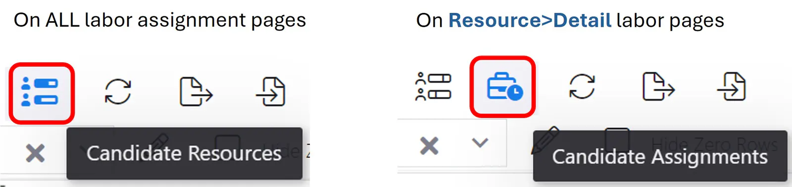 Candidates cand icons