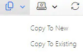 Copy project options