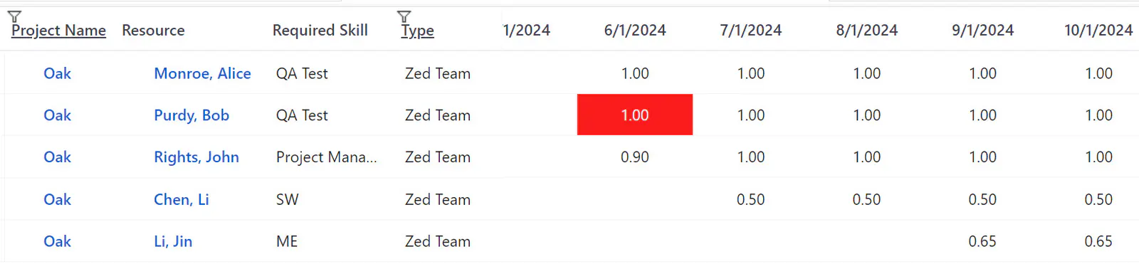 Team member assignments