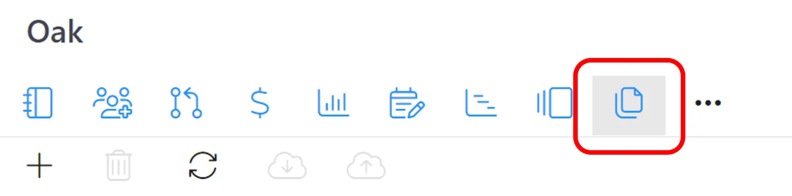 Project doc icon