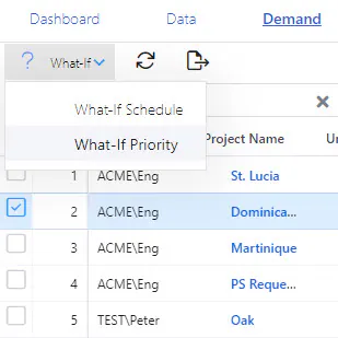 Project demand what if menu